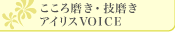 �A�C���XVOICE
