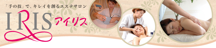 �A�C���X�G�X�e�T����