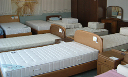 �J�����N�Ƌ�̔��E�Ƌ�E�C���e���A