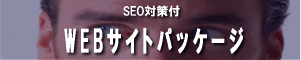 SEO�΍��tWEB�T�C�g�p�b�P�[�W